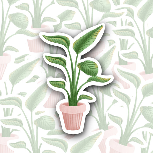 Bird of Paradise Plant Sticker