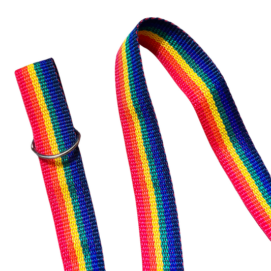 Skate Leash - Rainbow Pride
