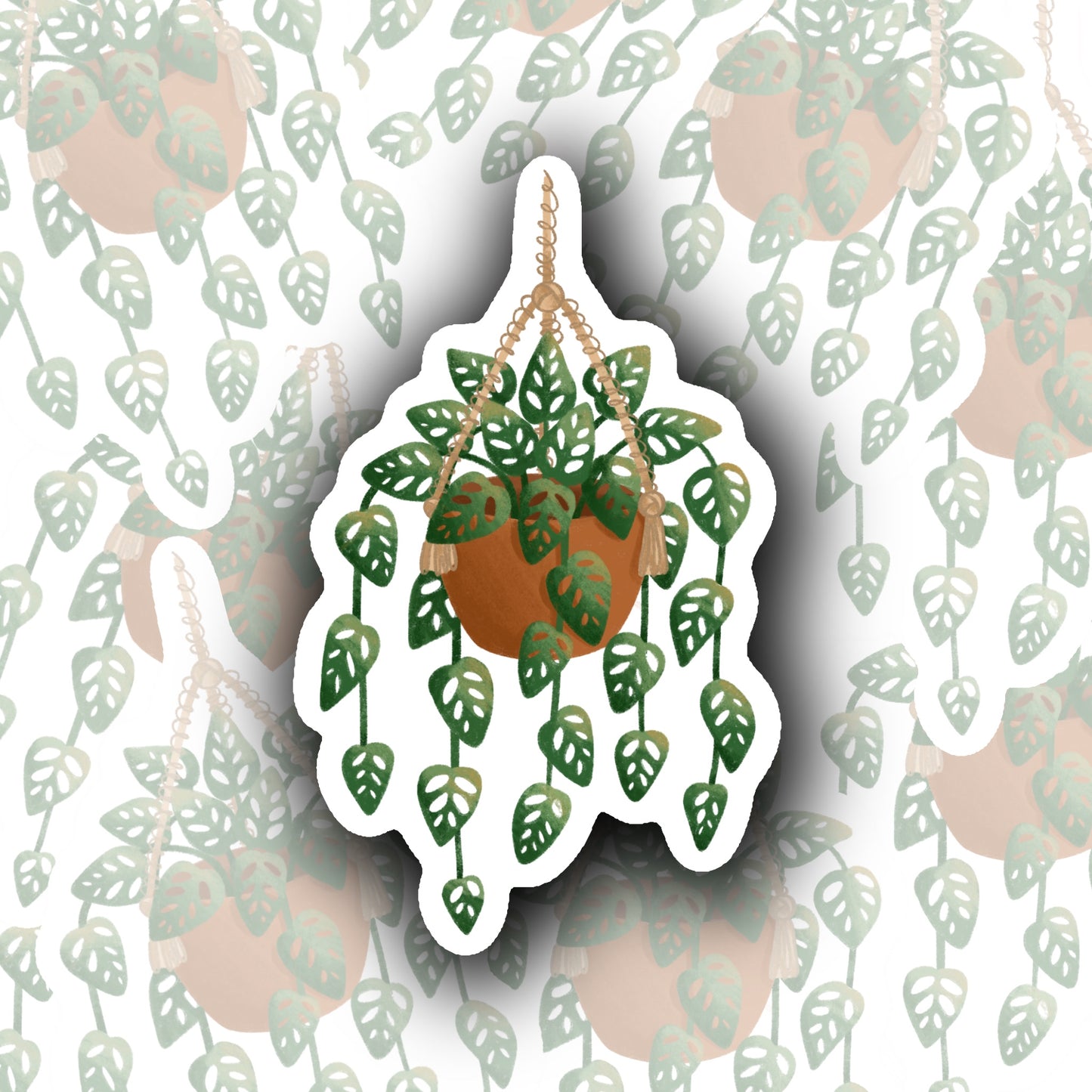 Monstera Adansonni Plant Sticker