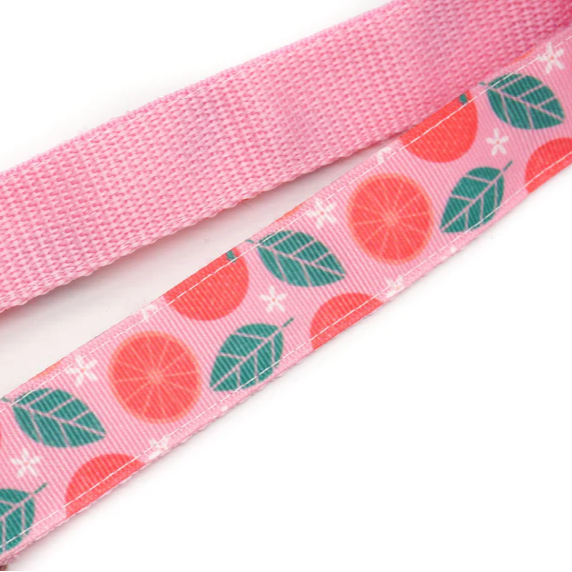 Skate Leash - Grapefruit Light Pink